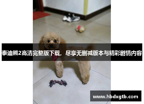 泰迪熊2高清完整版下载，尽享无删减版本与精彩剧情内容