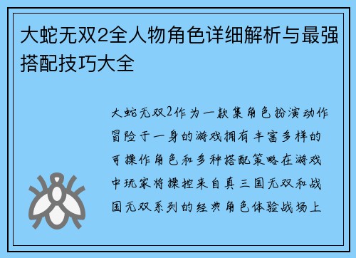 大蛇无双2全人物角色详细解析与最强搭配技巧大全
